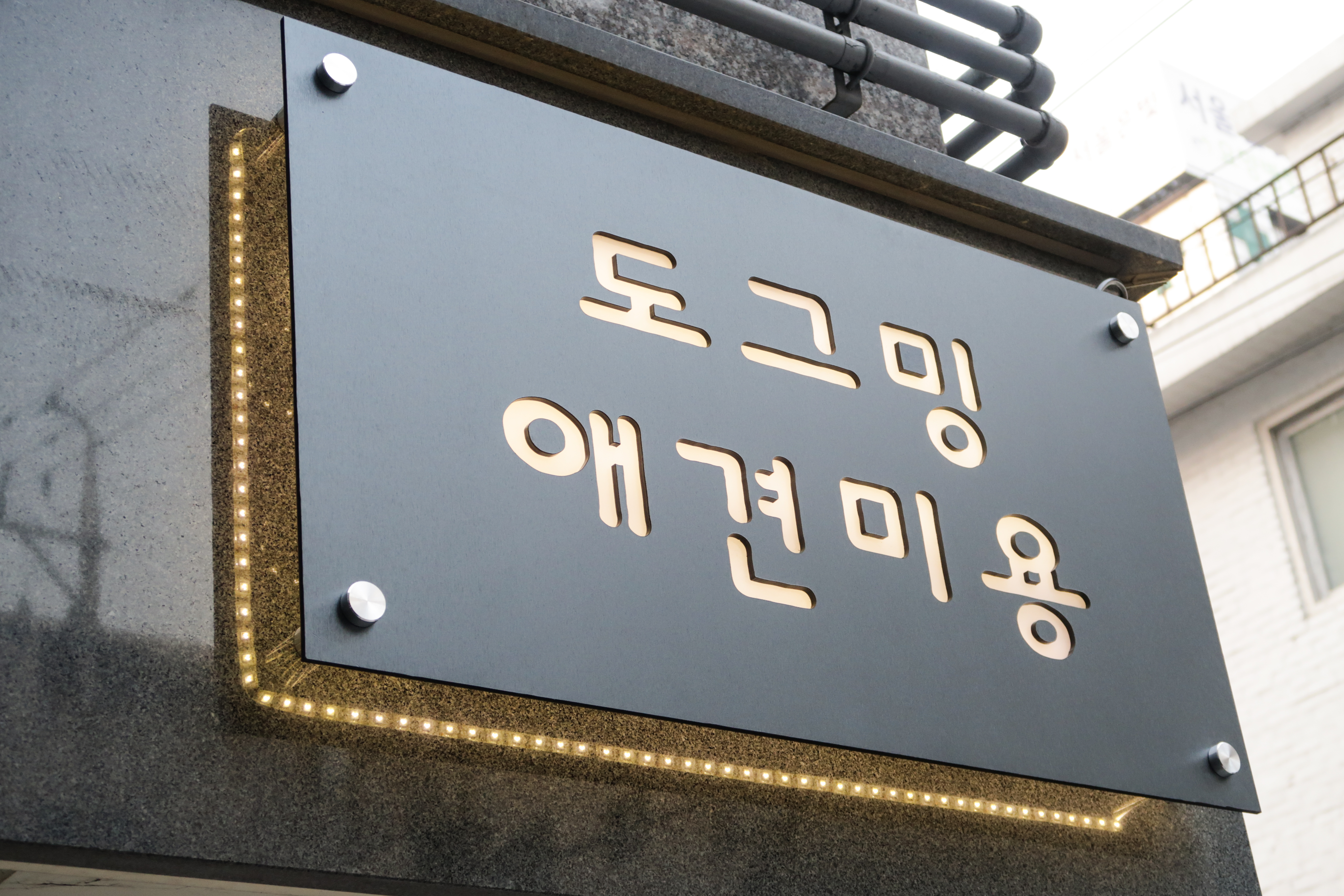 도그밍-15